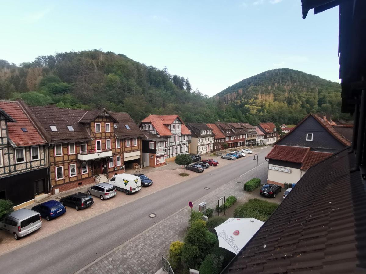 Hotel And Restaurant Bergschloesschen Zorge Zewnętrze zdjęcie